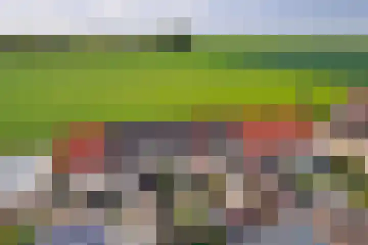 Krooneend 6 Rilland thumbnail 33