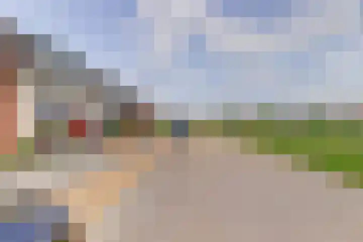 Krooneend 6 Rilland thumbnail 4