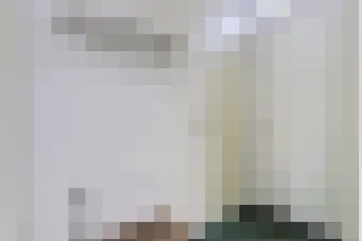 Krooneend 6 Rilland thumbnail 7