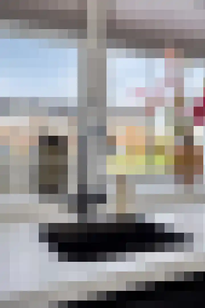 Kroonsappel 8 Andel thumbnail 13
