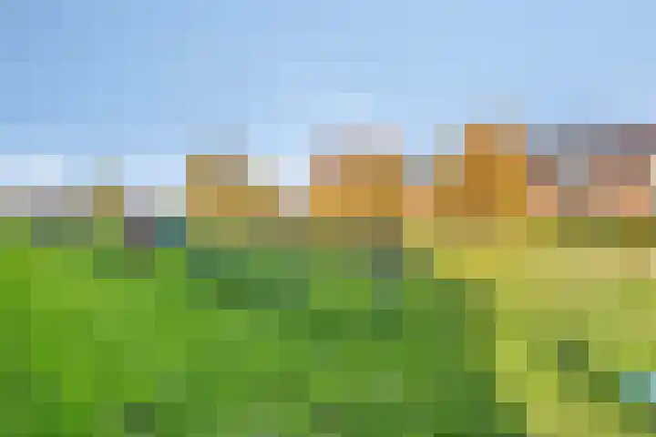 Kroonsappel 8 Andel thumbnail 38