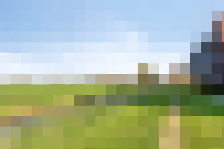 Kroonsappel 8 Andel thumbnail 40