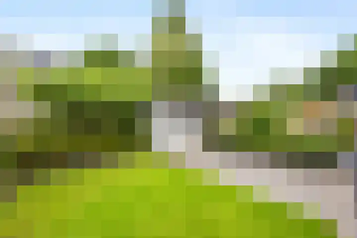 Kroonse Wal 53 Arnhem thumbnail 29