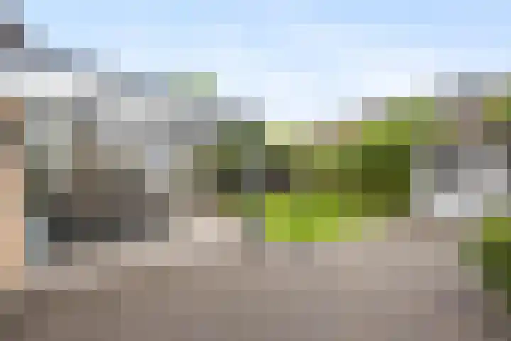 Kroonse Wal 53 Arnhem thumbnail 31