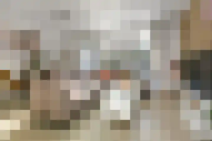 Kroonse Wal 71 Arnhem thumbnail 6