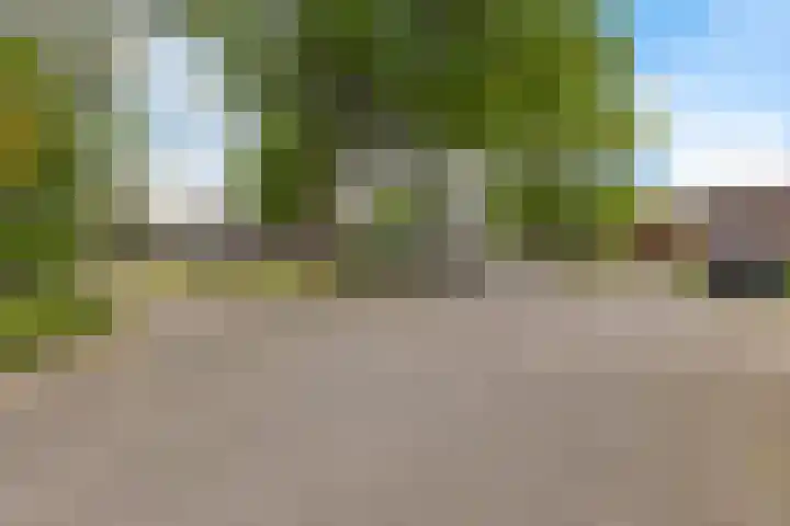 Kroonse Wal 79 Arnhem thumbnail 25