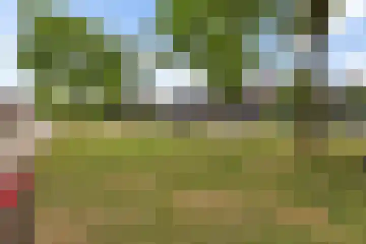 Kroonse Wal 79 Arnhem thumbnail 26