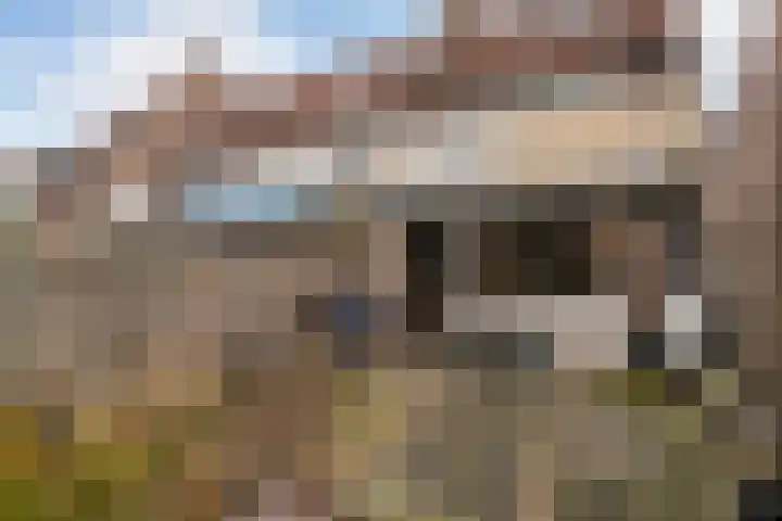 Kroonse Wal 85 Arnhem thumbnail 10