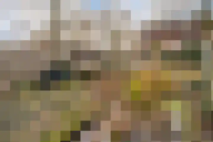 Kroonse Wal 85 Arnhem thumbnail 12