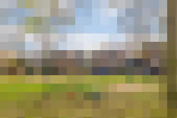 Kroonse Wal 85 Arnhem thumbnail 20