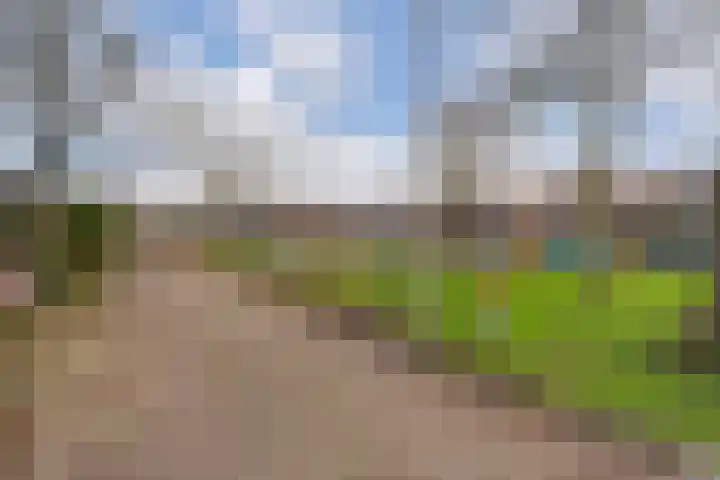 Kroonse Wal 85 Arnhem thumbnail 21