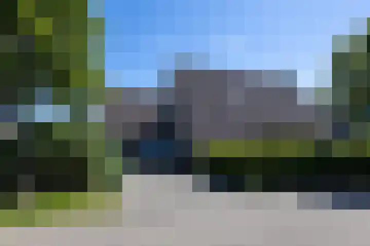 Kroonstuk 6 Nes