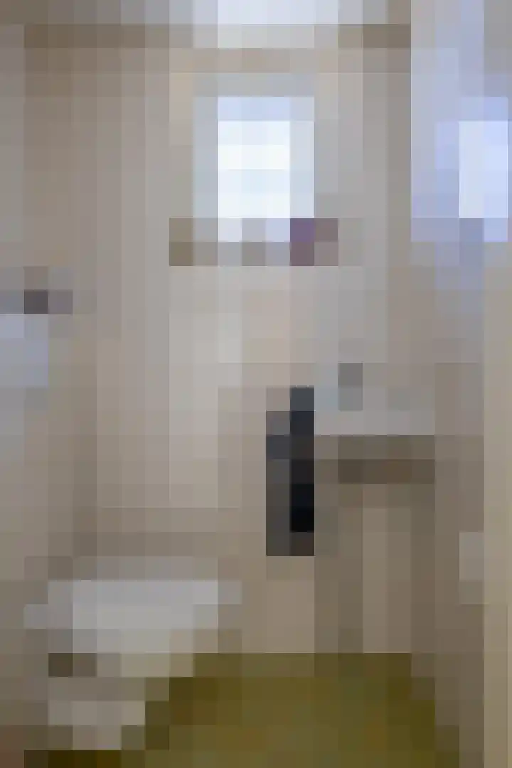 Kroonstuk 6 Nes thumbnail 13