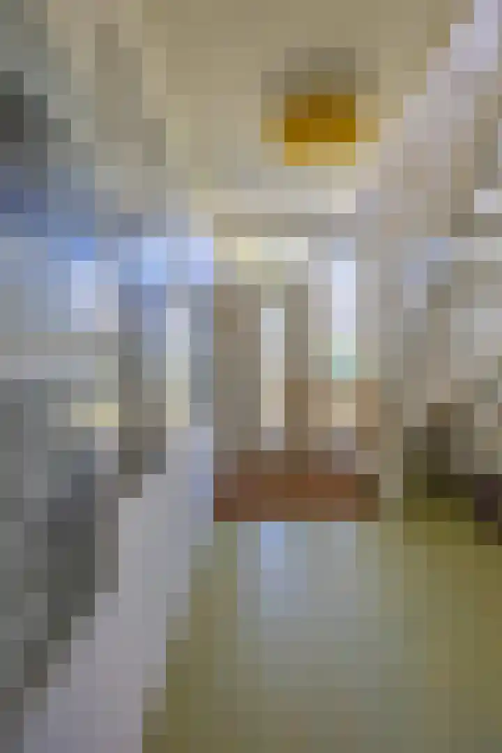 Kroonstuk 6 Nes thumbnail 14