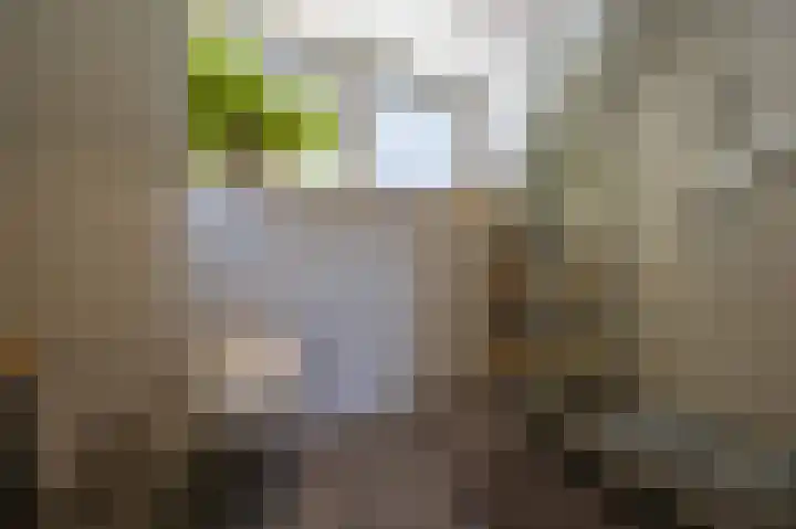 Kroonstuk 6 Nes thumbnail 19