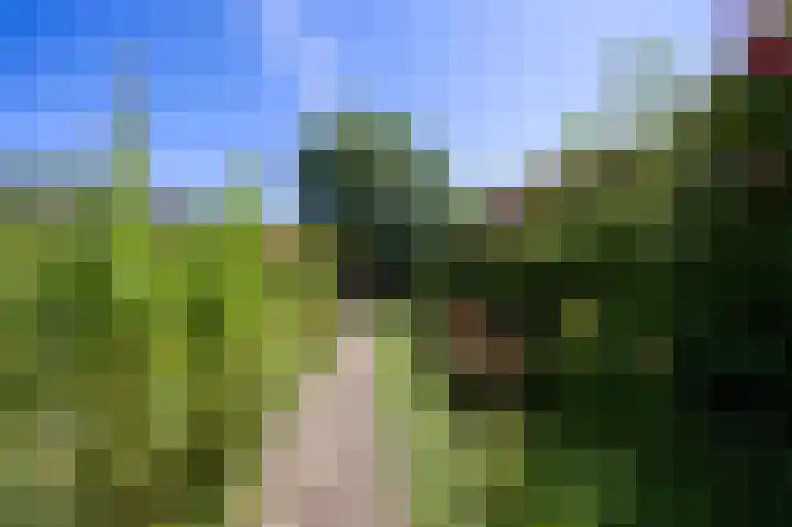 Kroonstuk 6 Nes thumbnail 4