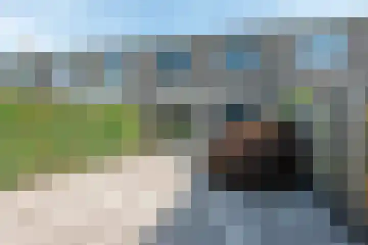 Kropaar 11 Eemnes thumbnail 32