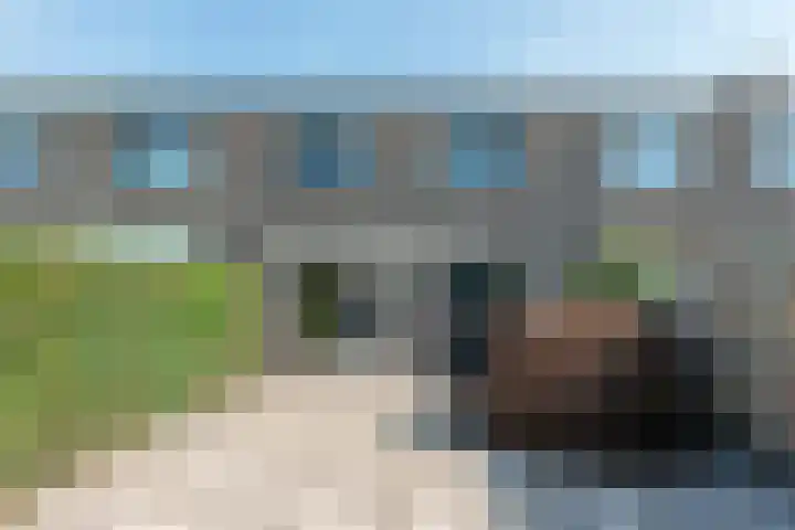 Kropaar 11 Eemnes thumbnail 36