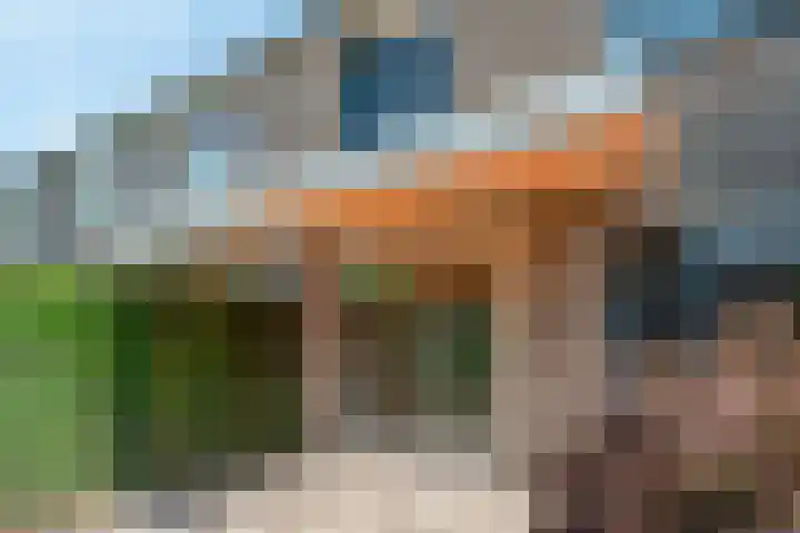 Kropaar 11 Eemnes thumbnail 37