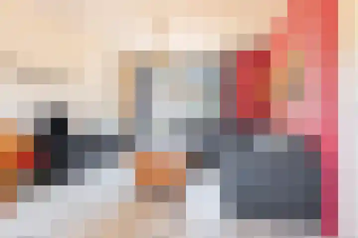 Kropaar 11 Eemnes thumbnail 8