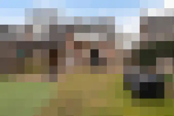 Krugerstraat 45 Vaassen thumbnail 26