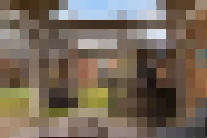 Krugerstraat 45 Vaassen thumbnail 33