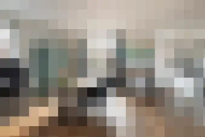 Krugerstraat 45 Vaassen thumbnail 7