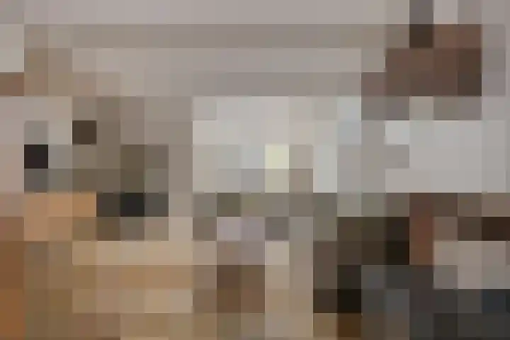 Krugerstraat 68 Den Helder thumbnail 8