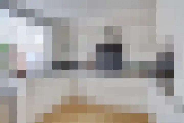 Kruidendreef 53 Dronten foto 2