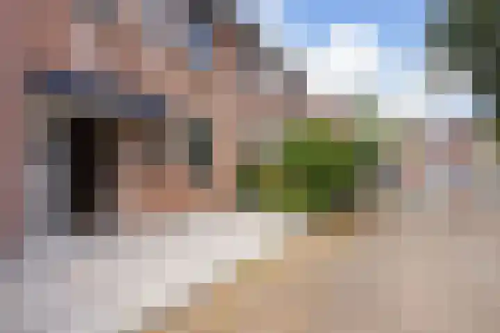 Kruidendreef 53 Dronten thumbnail 32