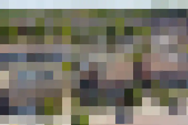 Kruidendreef 53 Dronten thumbnail 34