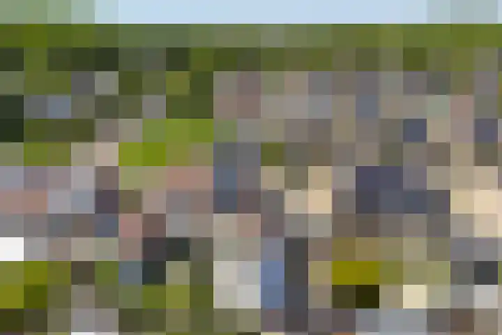 Kruidendreef 53 Dronten thumbnail 35