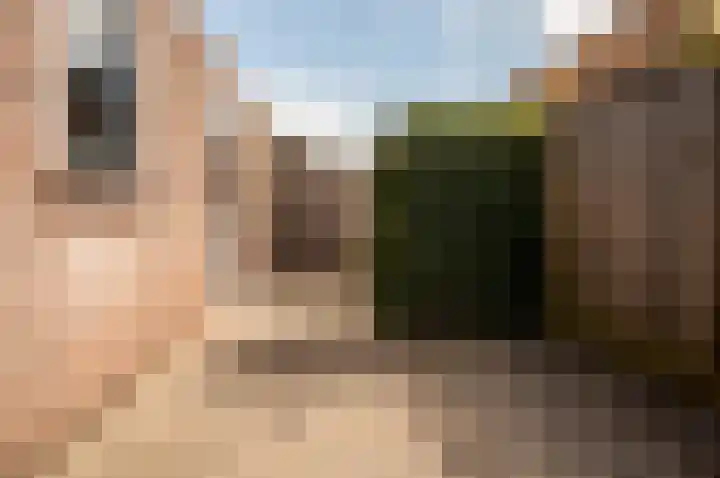 Kruidendreef 67 Dronten thumbnail 37