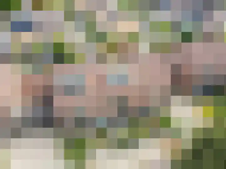 Kruidendreef 67 Dronten thumbnail 41
