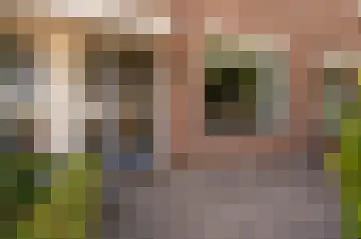 Kruidendreef 67 Dronten thumbnail 6