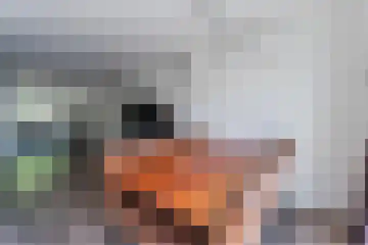 Kruidendreef 90 Amersfoort thumbnail 8