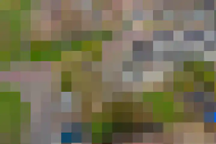 Kruidendreef 90 Dronten thumbnail 32