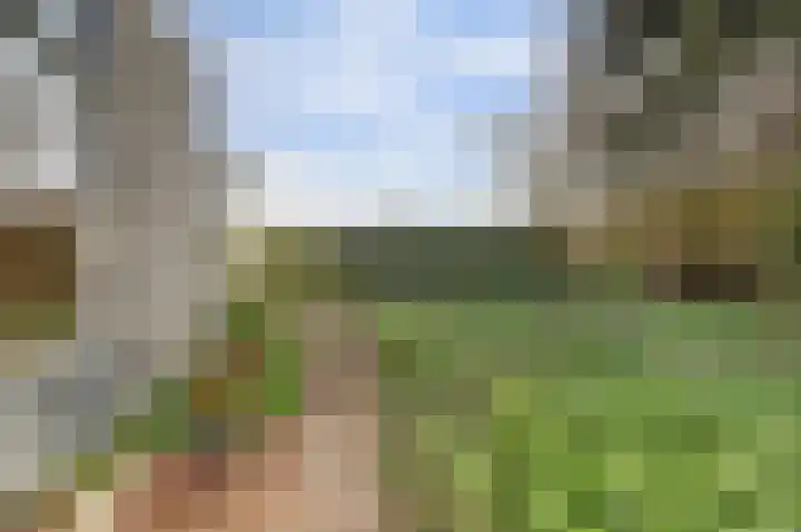 Kruidendreef 90 Dronten thumbnail 35