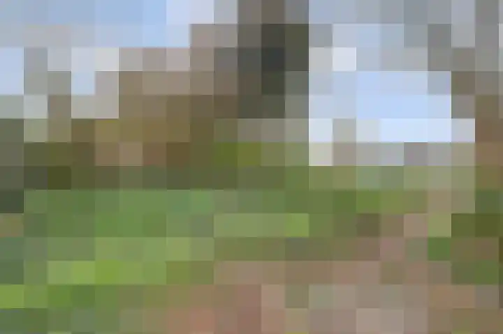 Kruidendreef 90 Dronten thumbnail 36