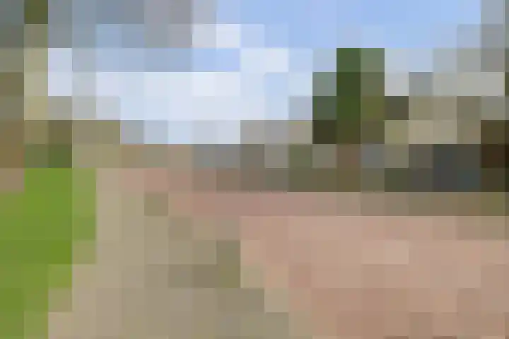 Kruidendreef 90 Dronten thumbnail 37