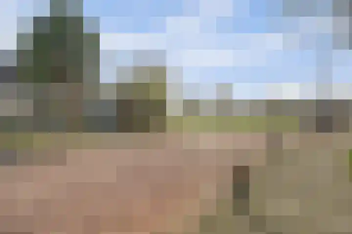 Kruidendreef 90 Dronten thumbnail 38