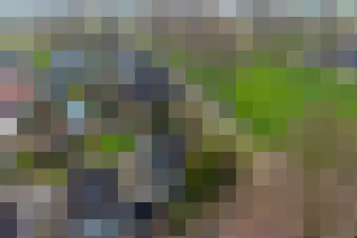 Kruidendreef 90 Dronten thumbnail 5