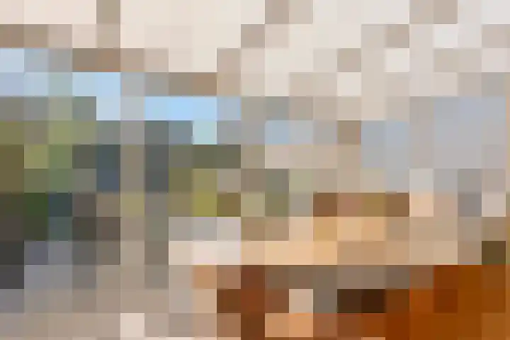 Kruidenlaan 124 Venray thumbnail 11