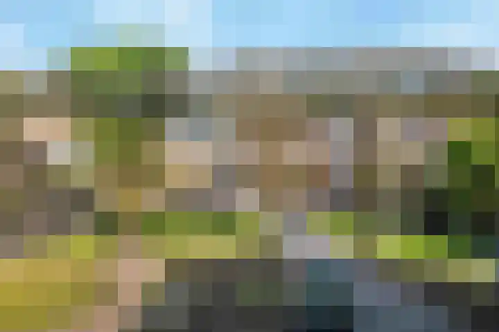 Kruidenlaan 124 Venray thumbnail 13
