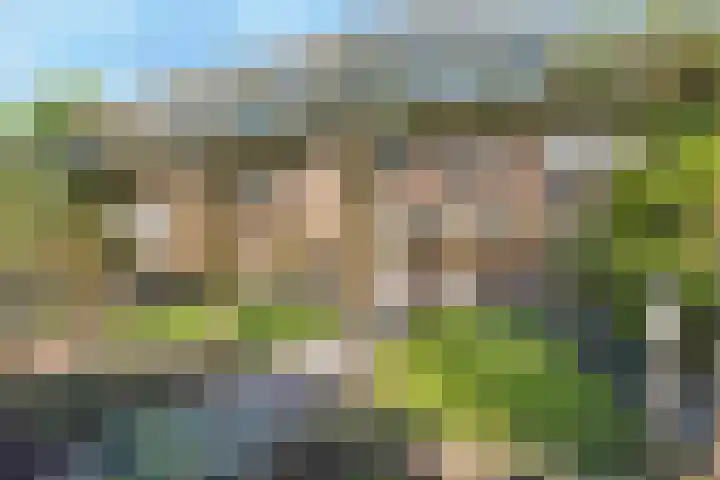 Kruidenlaan 124 Venray thumbnail 14