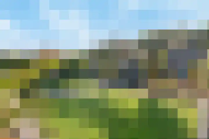 Kruidenlaan 124 Venray thumbnail 15