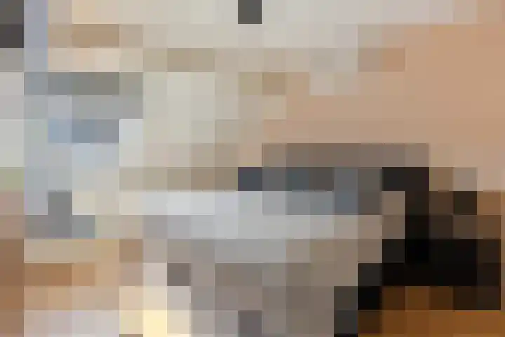 Kruidenlaan 124 Venray thumbnail 21