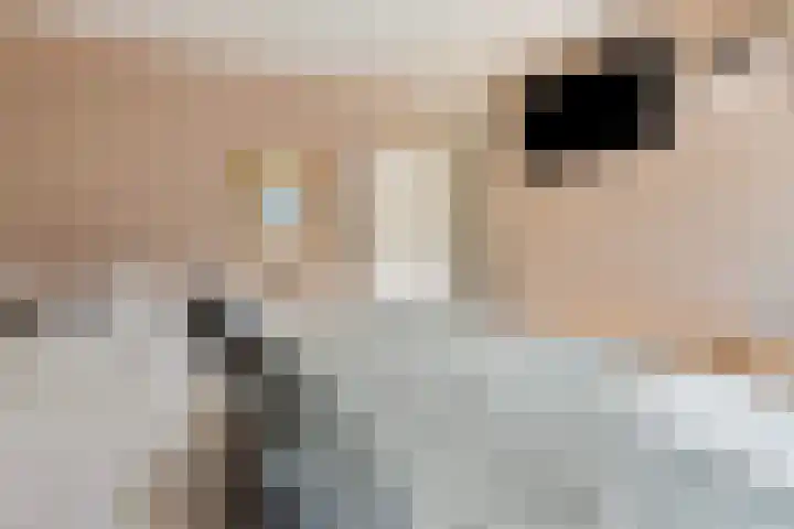 Kruidenlaan 124 Venray thumbnail 22