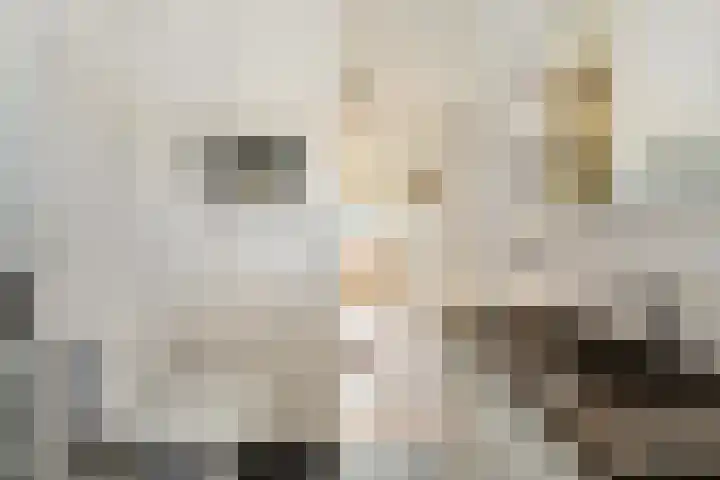 Kruidenlaan 124 Venray thumbnail 25