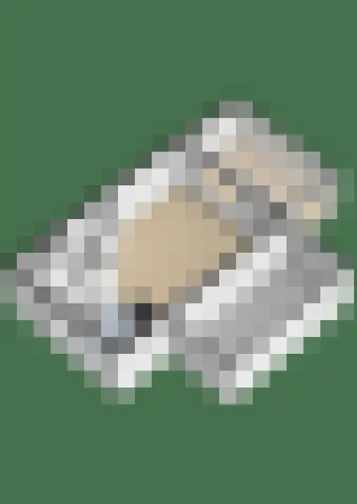 Kruidenlaan 124 Venray thumbnail 35